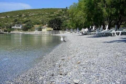 "Patra'S" Apartments Patra Ποσειδώνιο Εξωτερικό φωτογραφία